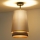 Duolla - Nadgradni luster BELL SHINY 1xE27/15W/230V pr. 25 cm srebrno/crno