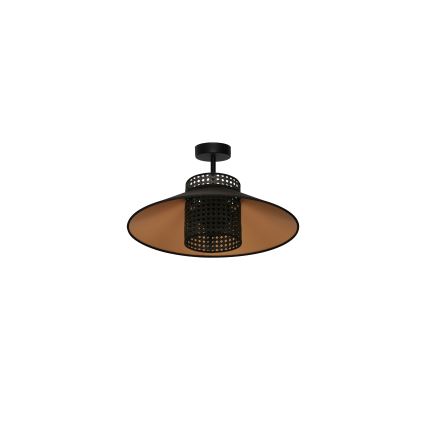 Duolla - Nadgradni luster RIO RATTAN 1xE27/15W/230V pr. 45 cm crno/zlatna