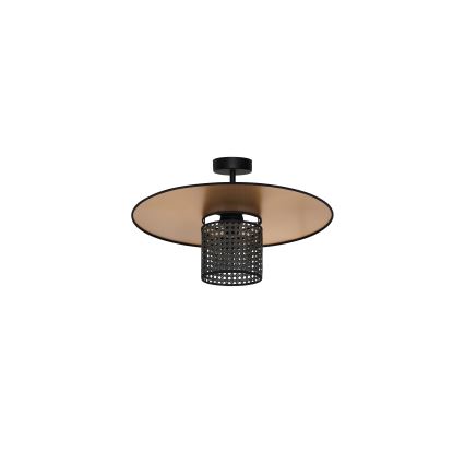 Duolla - Nadgradni luster TOKYO RATTAN 1xE27/15W/230V pr. 50 cm zlatna/crno