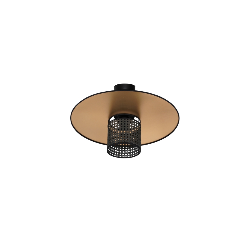 Duolla - Nadgradni luster TOKYO RATTAN 1xE27/15W/230V pr. 50 cm zlatna/crno
