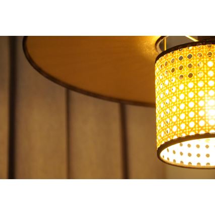 Duolla - Nadgradni luster TOKYO RATTAN 1xE27/15W/230V pr. 50 cm zlatna/ratan