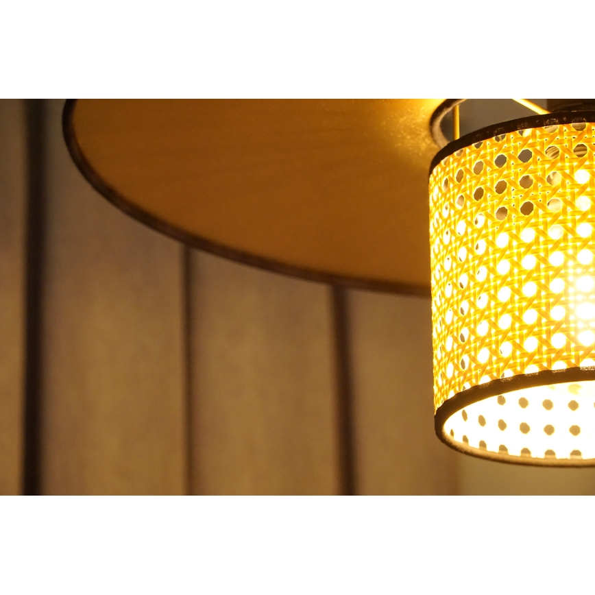 Duolla - Nadgradni luster TOKYO RATTAN 1xE27/15W/230V pr. 50 cm zlatna/ratan