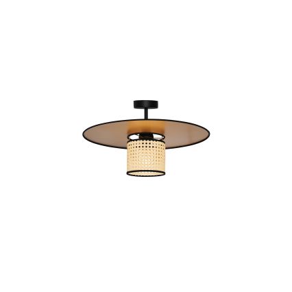 Duolla - Nadgradni luster TOKYO RATTAN 1xE27/15W/230V pr. 50 cm zlatna/ratan