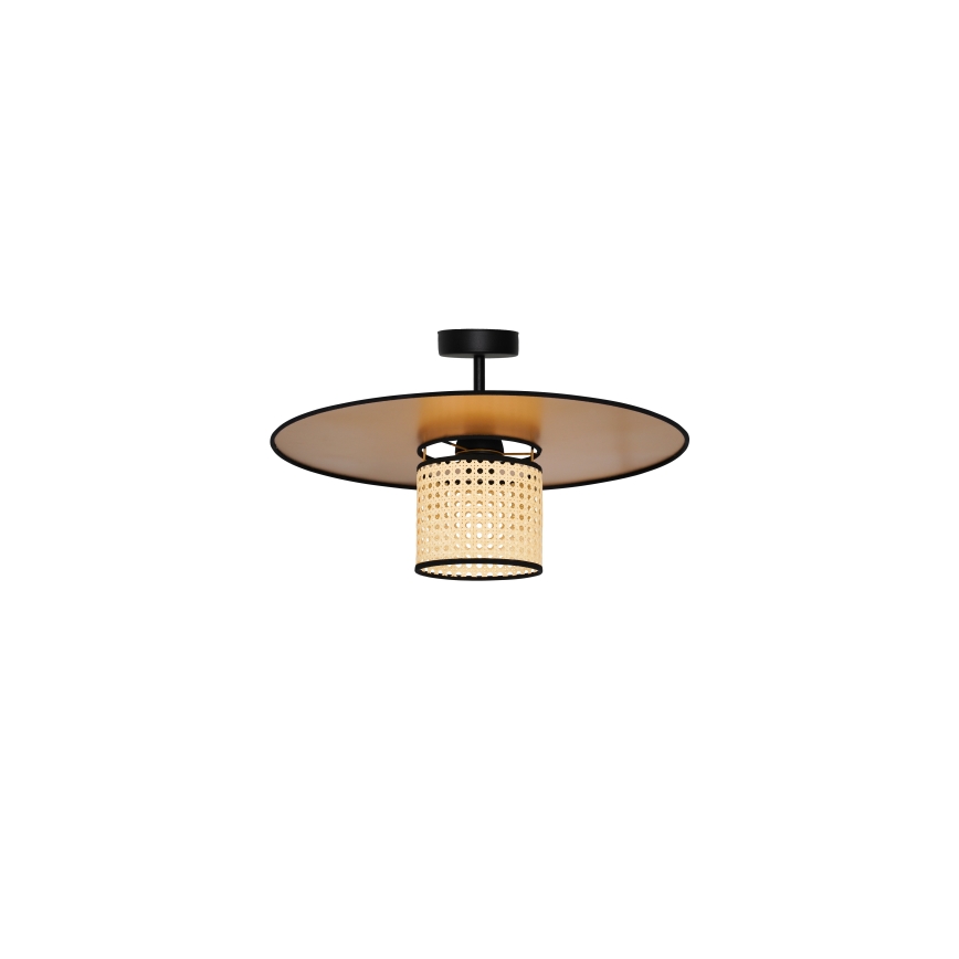 Duolla - Nadgradni luster TOKYO RATTAN 1xE27/15W/230V pr. 50 cm zlatna/ratan