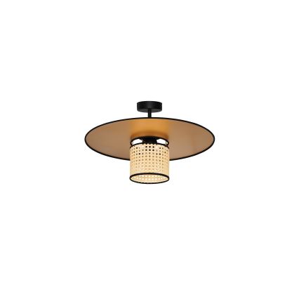 Duolla - Nadgradni luster TOKYO RATTAN 1xE27/15W/230V pr. 50 cm zlatna/ratan
