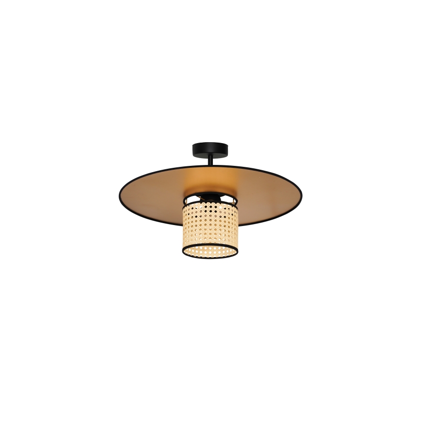 Duolla - Nadgradni luster TOKYO RATTAN 1xE27/15W/230V pr. 50 cm zlatna/ratan