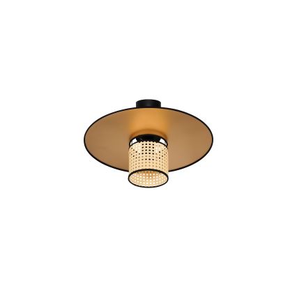 Duolla - Nadgradni luster TOKYO RATTAN 1xE27/15W/230V pr. 50 cm zlatna/ratan