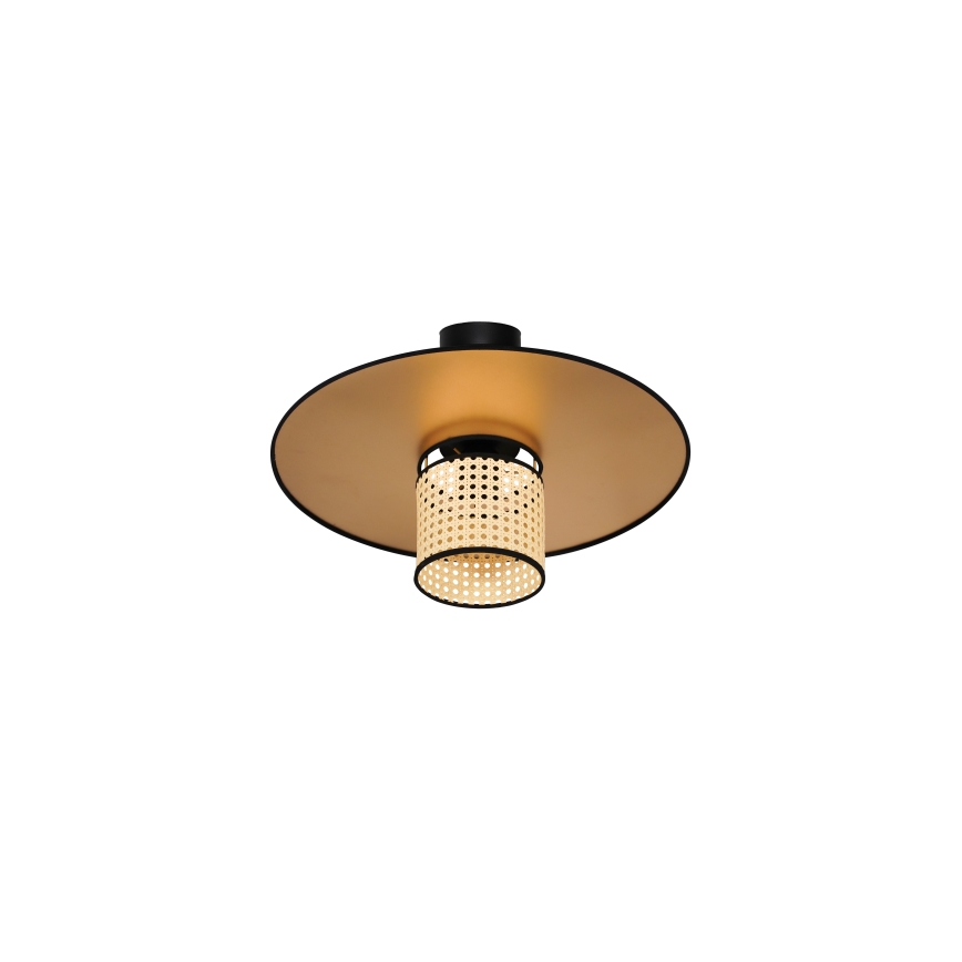 Duolla - Nadgradni luster TOKYO RATTAN 1xE27/15W/230V pr. 50 cm zlatna/ratan