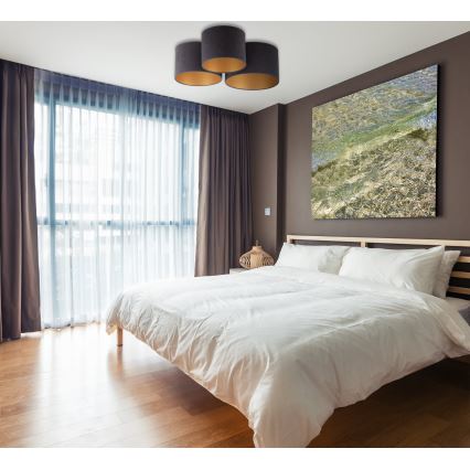 Duolla - Plafonjera ROLLER TRIO 3xE27/60W/230V antracit