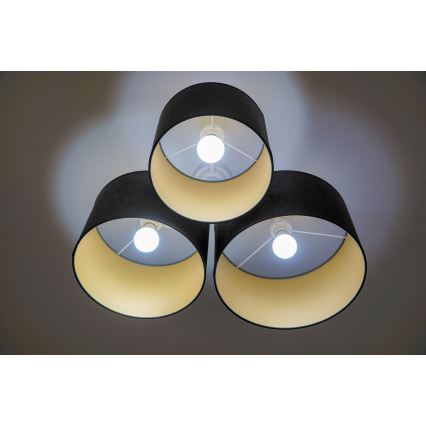 Duolla - Plafonjera ROLLER TRIO 3xE27/60W/230V antracit
