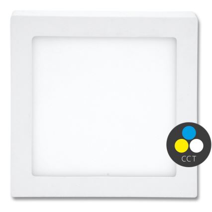 LED Plafonjera RAFA LED/25W/230V 3000/4000/6000K 30x30 cm bela