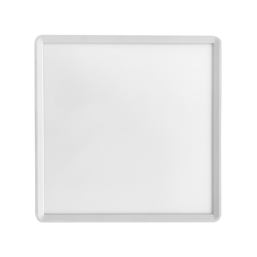 LED Plafonjera TERY LED/40W/230V 3000/4000/6000K 50x50 cm IP40 bela