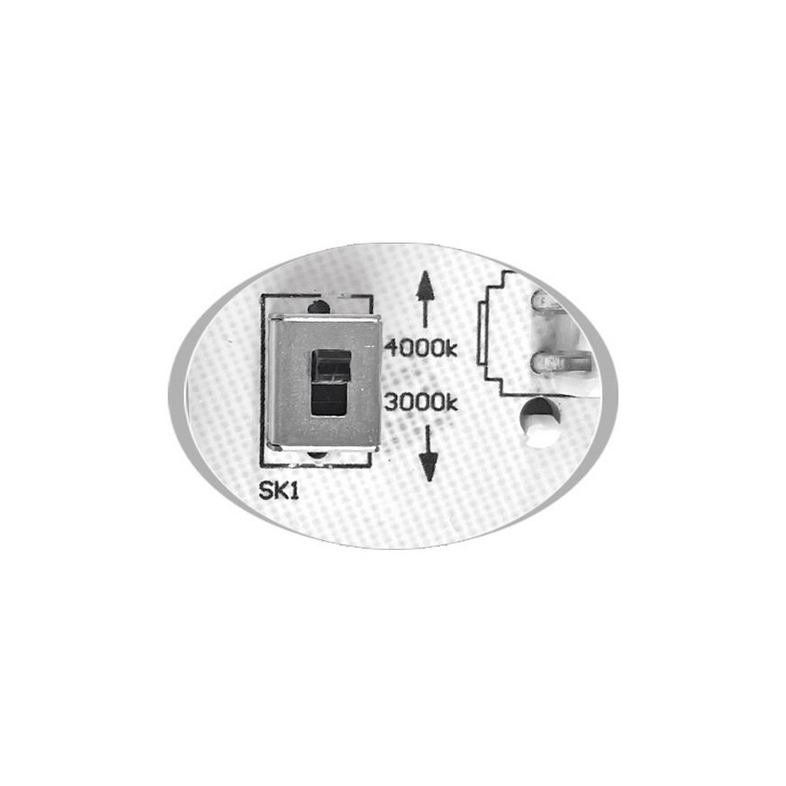 LED Spoljašnja plafonjera MARTIN LED/15W/230V 3000/4000K pr. 30 cm IP65 crno