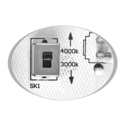LED Spoljašnja plafonjera MARTIN LED/25W/230V 3000/4000K pr. 35 cm IP65 crno
