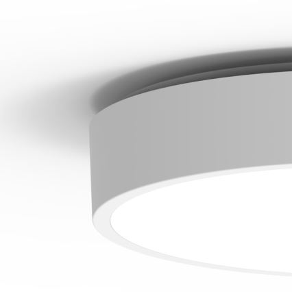 LED Spoljašnja plafonjera sa senzorom MARTIN LED/25W/230V 3000/4000K pr. 35 cm IP65 bela