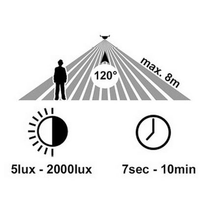 LED Zidno spoljašnje osvetljenje sa senzorom RITA LED/12W/230V 4000K IP65