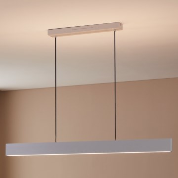 Eglo 31436 - LED RGBW Prigušivi luster na sajli ANDREAS-Z LED/38W/230V 2700-6500K bela