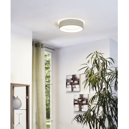 Eglo - LED Plafonjera 1xLED/11W/230V