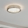 Eglo 32047 - LED Kristalna plafonjera AREZZO 2 LED/17,92W/230V