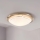 Eglo 32094 - LED Plafonjera PLANET LED/11W/230V 3000K mat krom