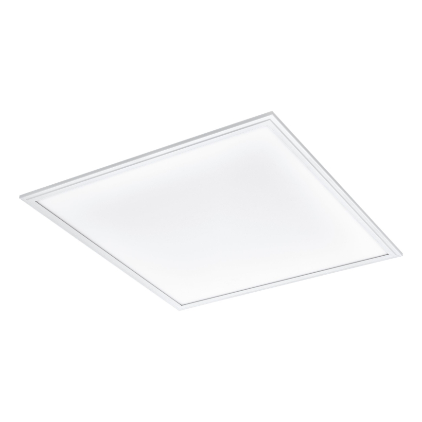 Eglo - LED Plafonjera LED/40W/230V