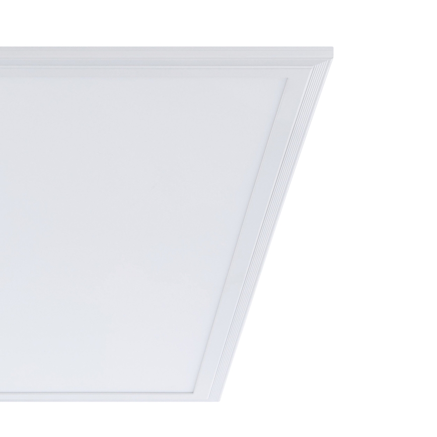 Eglo - LED Plafonjera LED/40W/230V