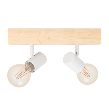 Eglo - Plafonjera TOWNSHEND 2xE27/60W/230V