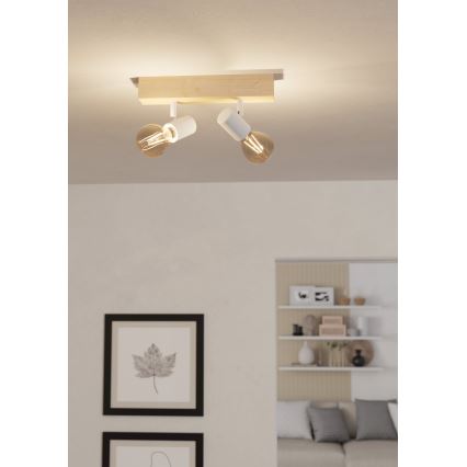Eglo - Plafonjera TOWNSHEND 2xE27/60W/230V