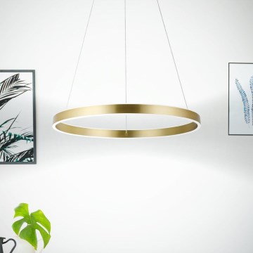 Eglo 33484 - LED luster na sajli ALCAZABA 2xLED/18W/230V 3000K prečnika 55 cm zlatna