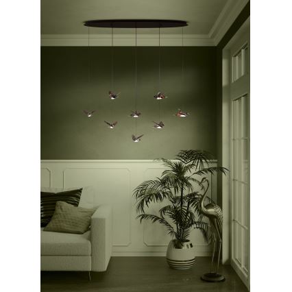 Eglo - LED Prigušivi luster na sajli 8xLED/4,2W/230V 3000K crno