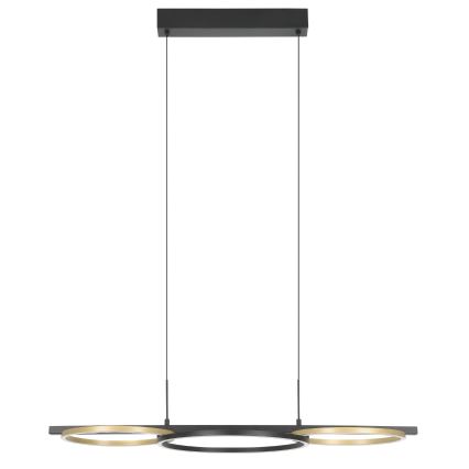 Eglo - LED Prigušivi luster na sajli 2xLED/12,5W/230V + LED/15,5W 3000K crno