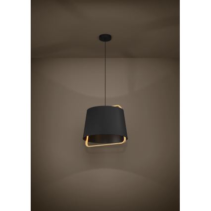 Eglo - Luster na sajli 1xE27/40W/230V crno
