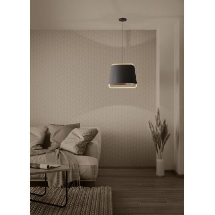 Eglo - Luster na sajli 1xE27/40W/230V crno