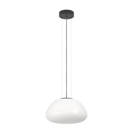 Eglo - Luster na sajli 1xE27/40W/230V crno