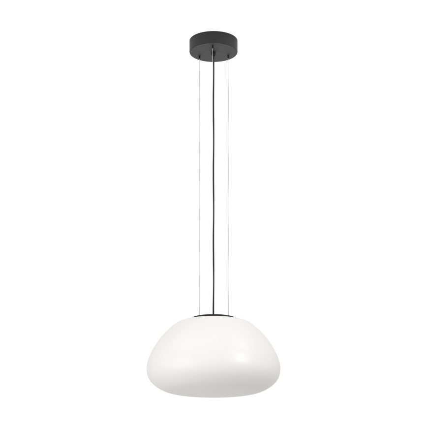 Eglo - Luster na sajli 1xE27/40W/230V crno