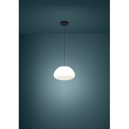 Eglo - Luster na sajli 1xE27/40W/230V crno