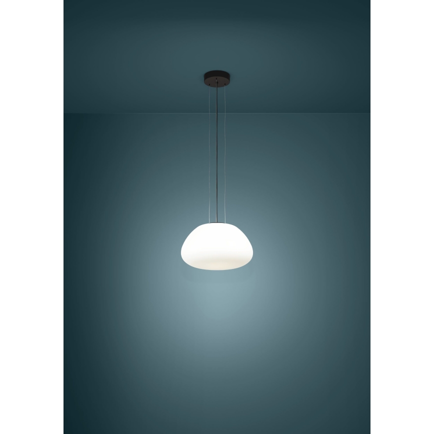 Eglo - Luster na sajli 1xE27/40W/230V crno