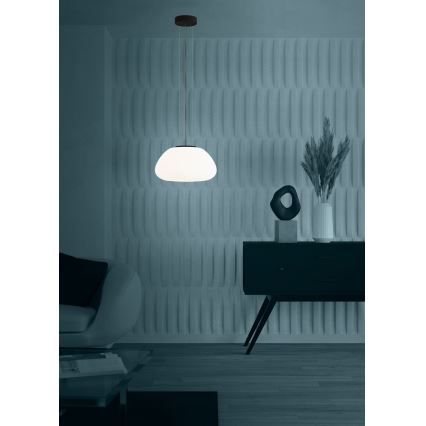 Eglo - Luster na sajli 1xE27/40W/230V crno