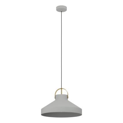 Eglo - Luster na sajli 1xE27/40W/230V sivo