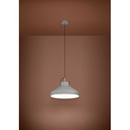 Eglo - Luster na sajli 1xE27/40W/230V sivo