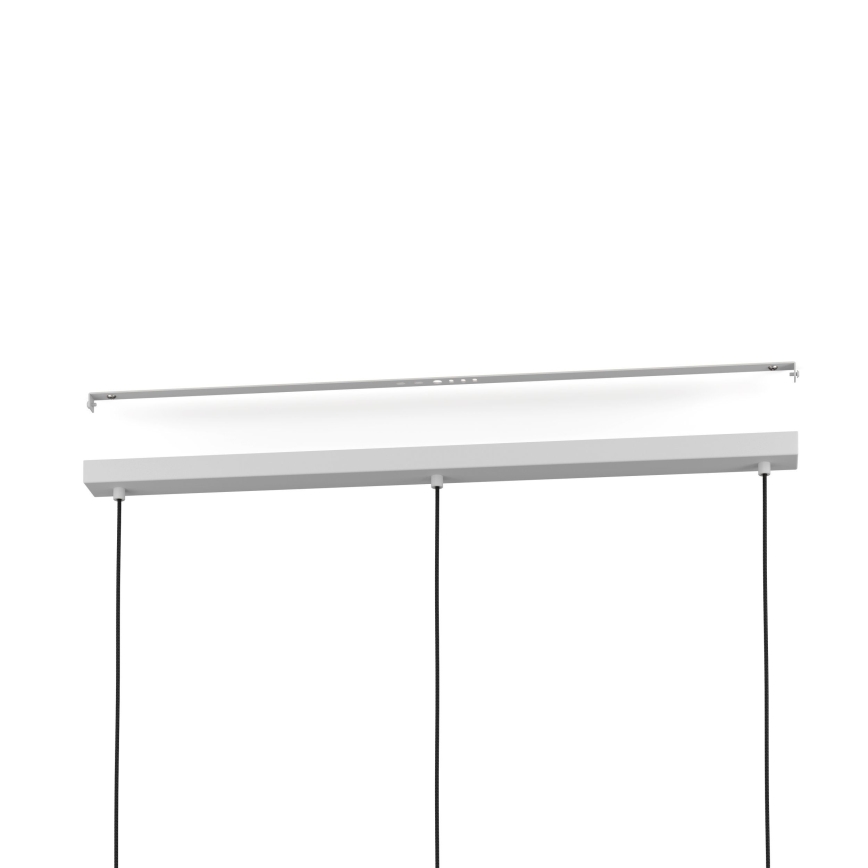 Eglo - Luster na sajli 3xE27/40W/230V sivo