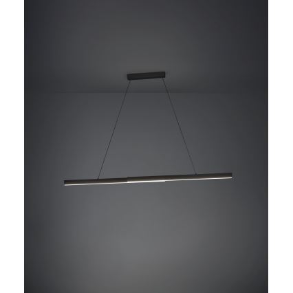 Eglo - LED Prigušivi luster na sajli LED/20W/230V 3000K crno