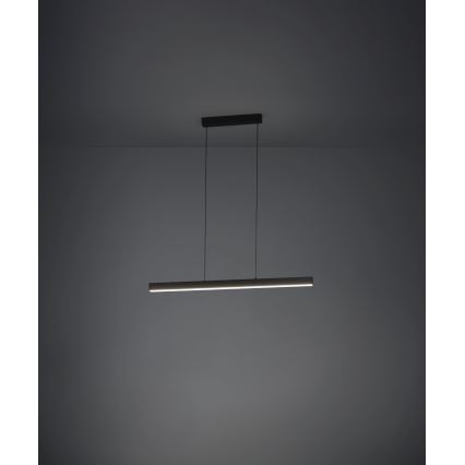 Eglo - LED Prigušivi luster na sajli LED/20W/230V 3000K crno