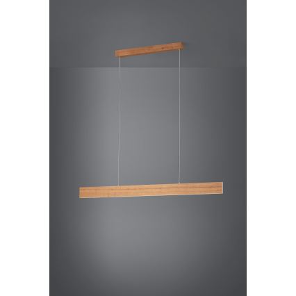 Eglo - LED prigušiva luster na sajli LED/21W/230V + LED/8,4W