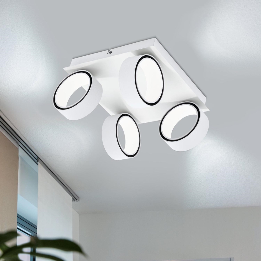 Eglo 39587 - LED Reflektorska lampa ALBARIZA 4xLED/4,6W/230V