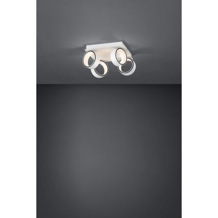 Eglo 39587 - LED Reflektorska lampa ALBARIZA 4xLED/4,6W/230V