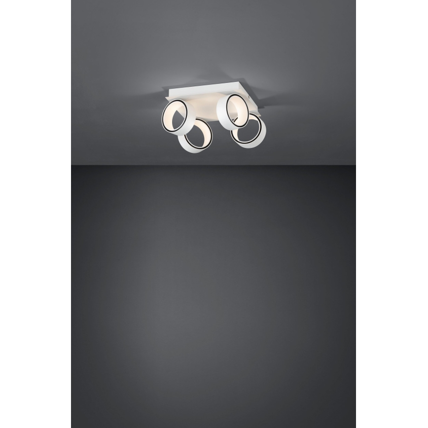 Eglo 39587 - LED Reflektorska lampa ALBARIZA 4xLED/4,6W/230V