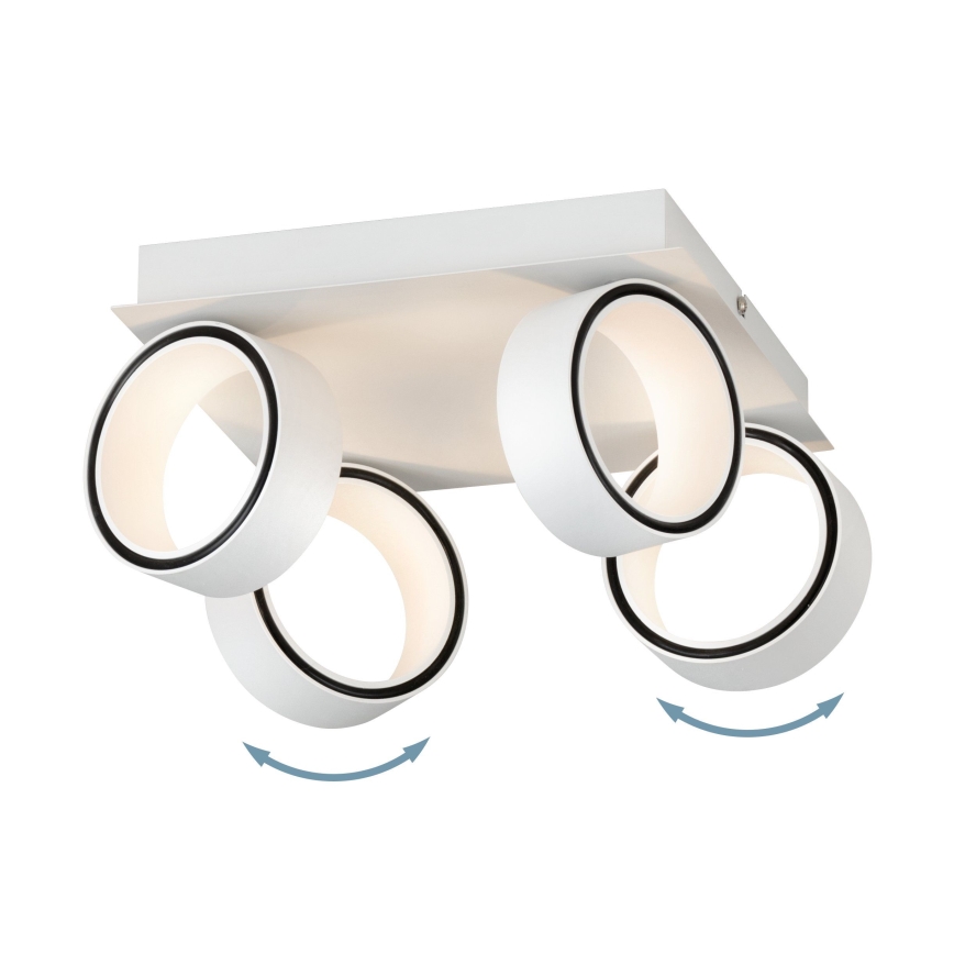 Eglo 39587 - LED Reflektorska lampa ALBARIZA 4xLED/4,6W/230V