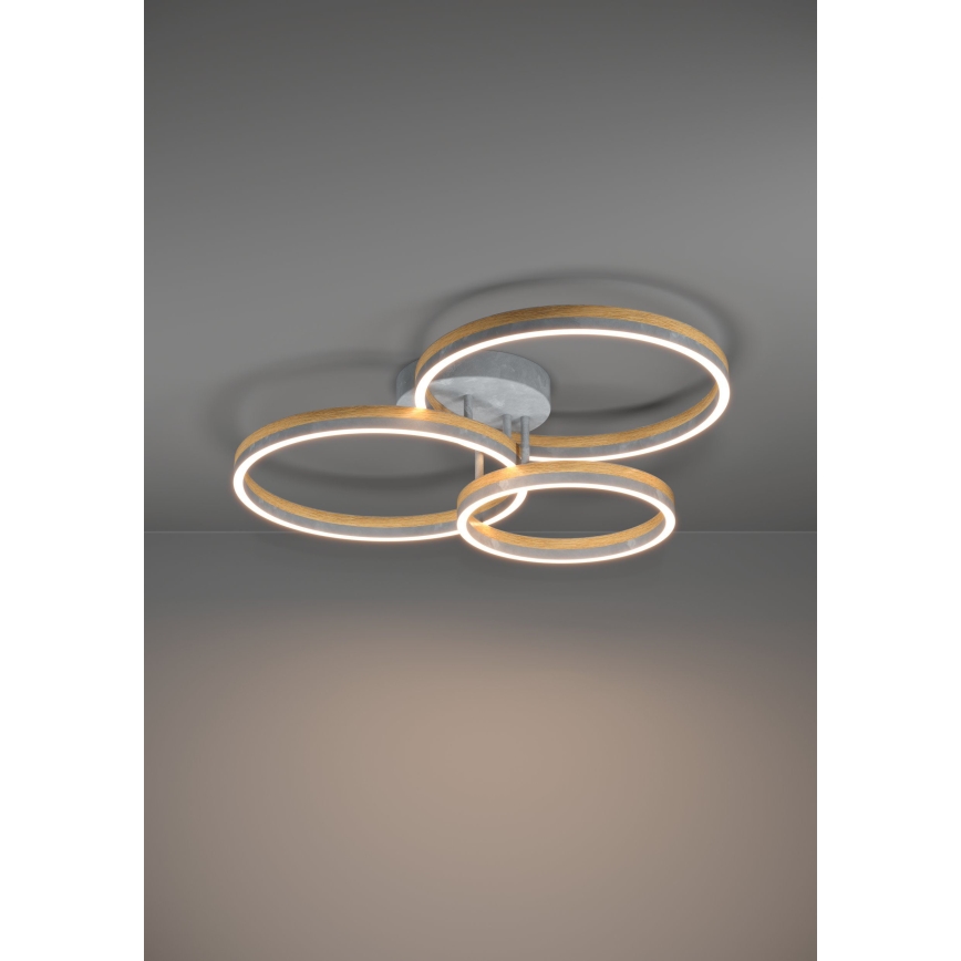 Eglo - LED Prigušivi nadgradni luster LED/12,5W/230V + 2xLED/15,5W 3000K sivo/braon