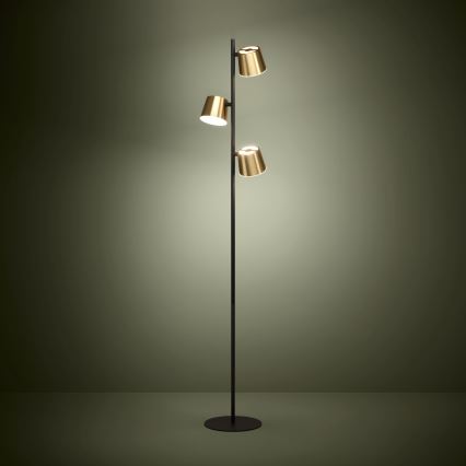 Eglo - Podna LED lampa 3xGU10/4,6W/230V 3000K zlatna